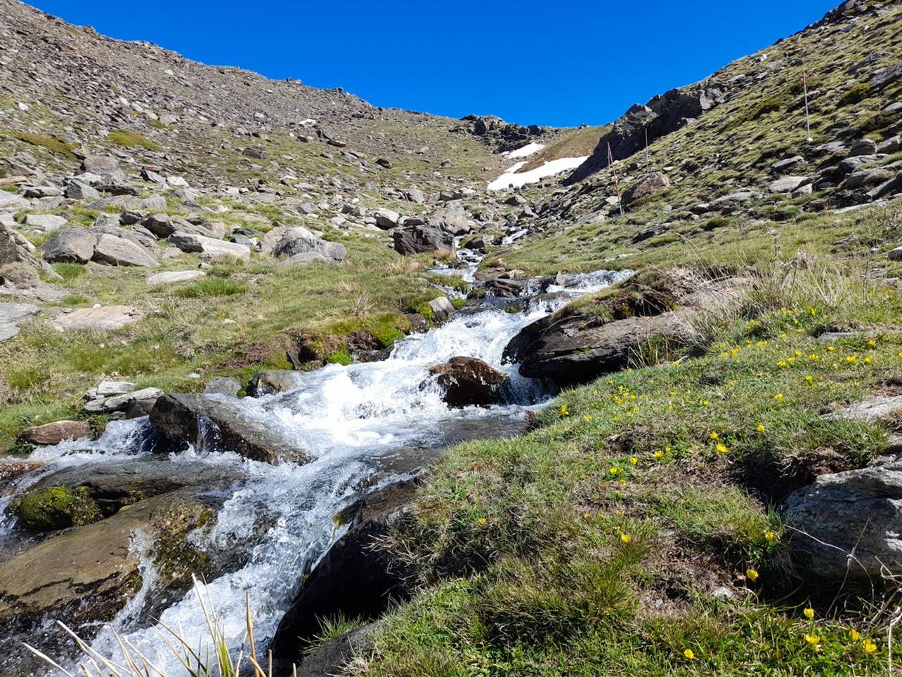 Spain's Sierra Nevada with a water stream rushing down a mountainside.
